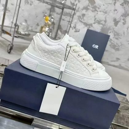 DIOR B33